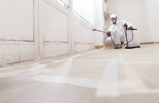 24/7 Emergency Mold Testing experts in Marion, KY